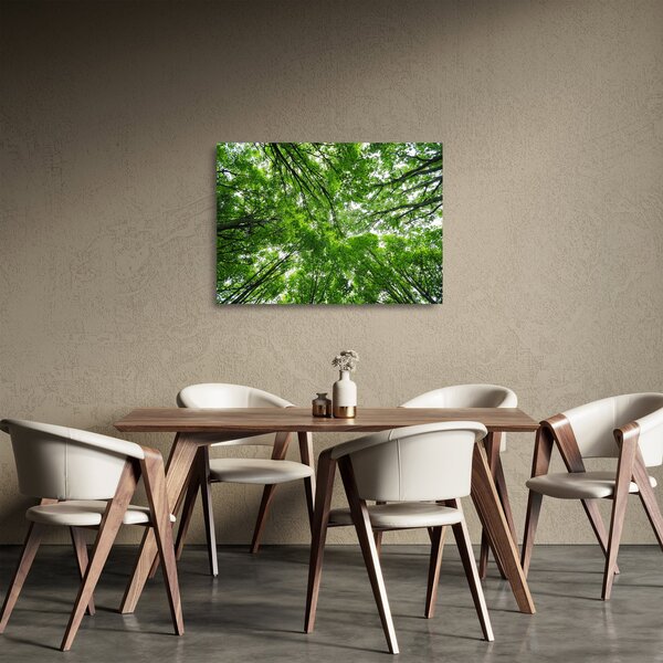 Kép - Kilátás a fák tetejére (üvegen) (70x50 cm)