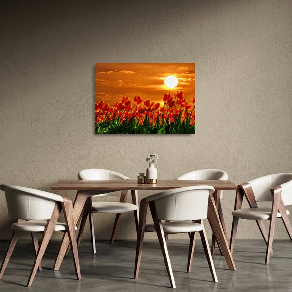 Kép egy virágzó mező tulipánokkal (üvegen) (70x50 cm)