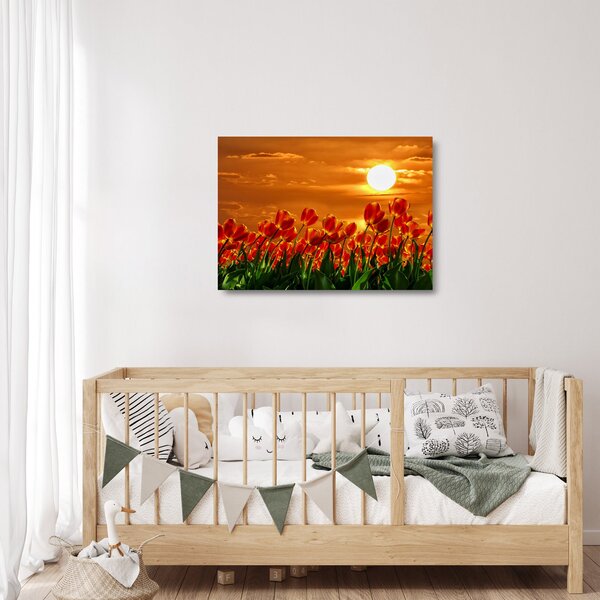 Kép egy virágzó mező tulipánokkal (üvegen) (70x50 cm)