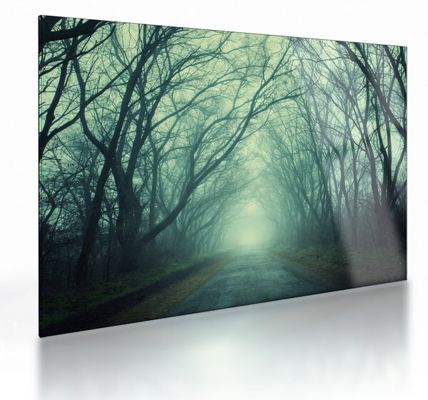 Kép - út a fasorban (üvegen) (70x50 cm)