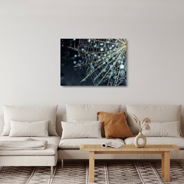 Kép - Virág pókhálóval (üvegen) (70x50 cm)