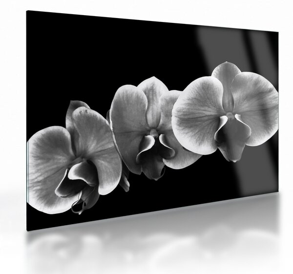 Egy orchidea virág képe (üvegen) (70x50 cm)