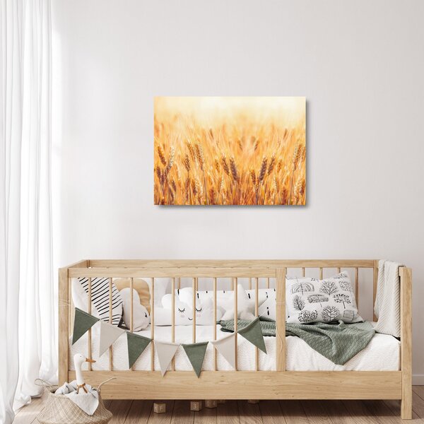Kép - mező gabonával (üvegen) (70x50 cm)