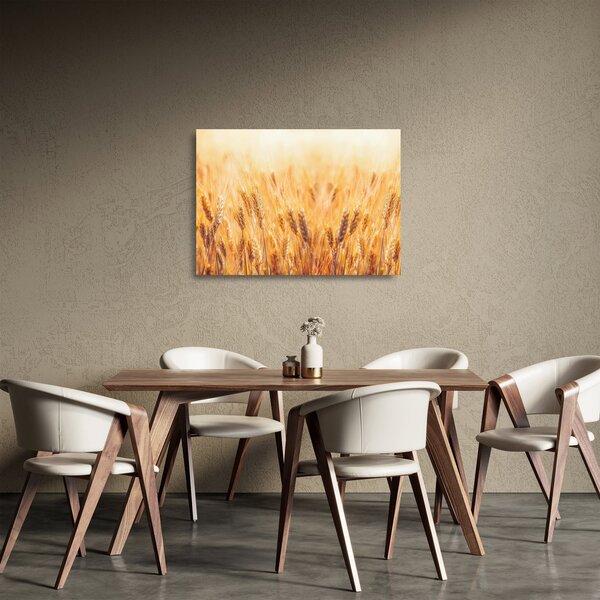 Kép - mező gabonával (üvegen) (70x50 cm)