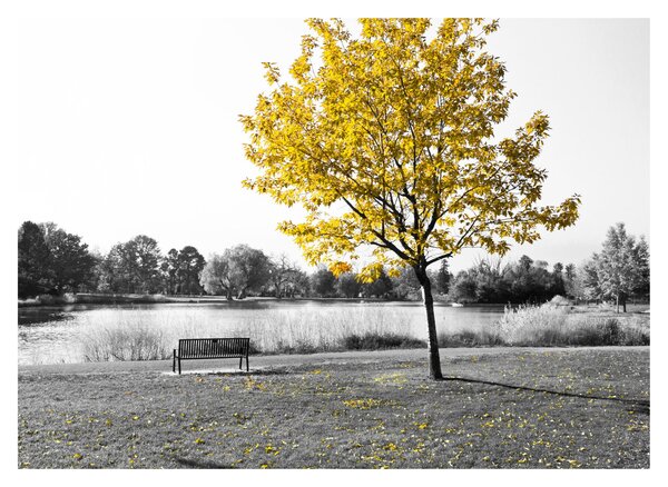 Kép - Pihenés a parkban (üvegen) (70x50 cm)