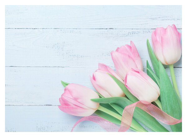 Kép - tulipán csokor (üvegen) (70x50 cm)