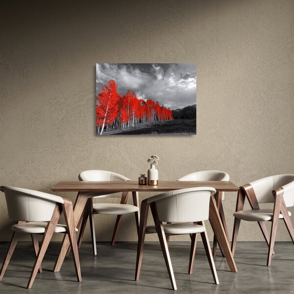Kép - fák őszi színben (üvegen) (70x50 cm)