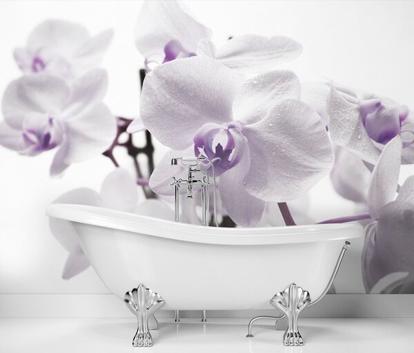 Gario Fotótapéta Virágzó orchidea Anyag: Vlies, Méret: 200 x 140 cm