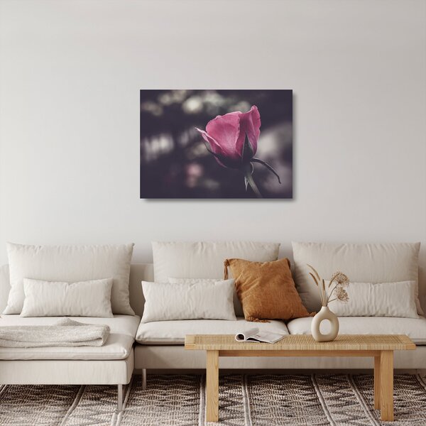 Kép - Rózsa virág részlete (üvegen) (70x50 cm)
