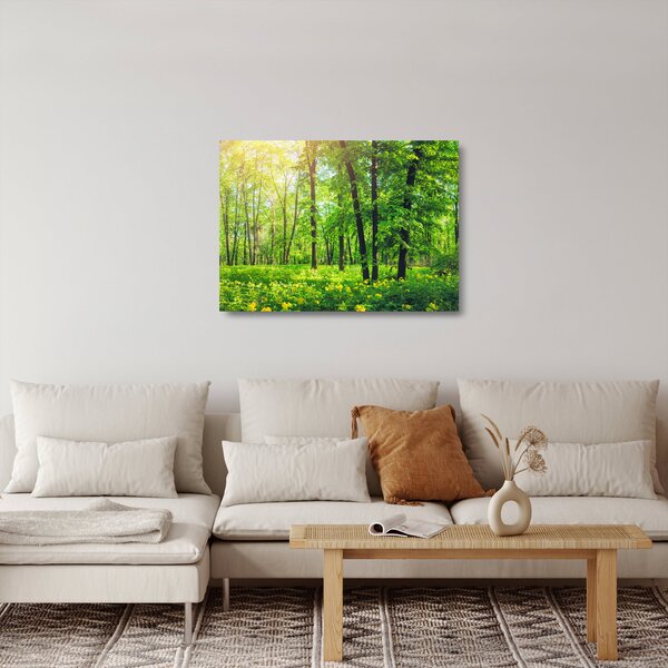 Kép - Tavaszi lomberdő (üvegen) (70x50 cm)