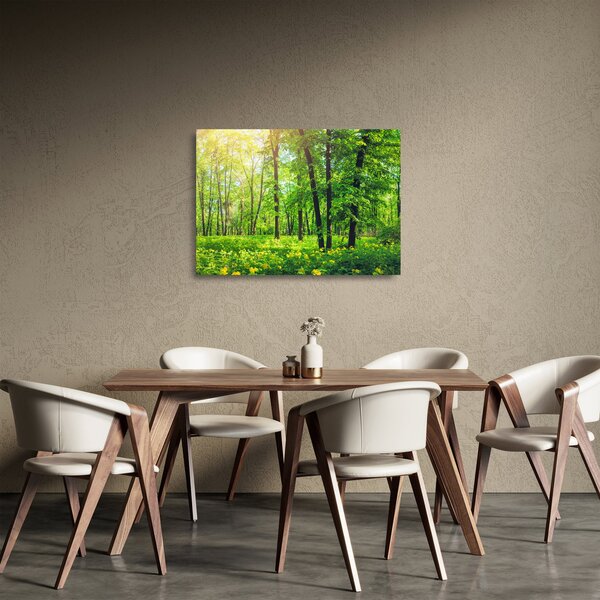 Kép - Tavaszi lomberdő (üvegen) (70x50 cm)