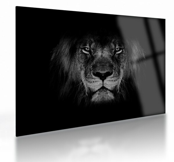 Kép - Az oroszlán és felsége (üvegen) (70x50 cm)