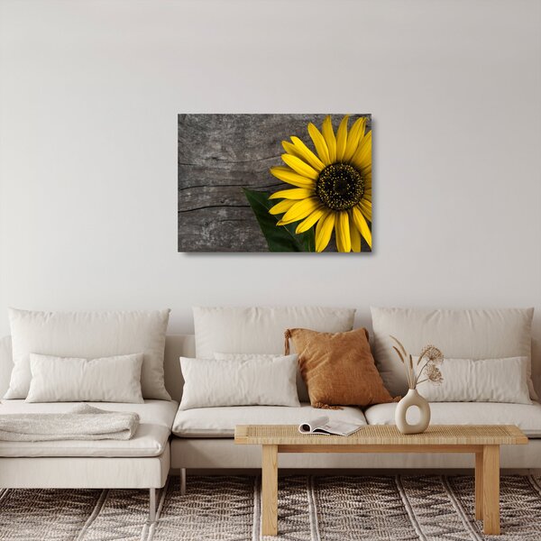 Kép - Napraforgó virága (üvegen) (70x50 cm)