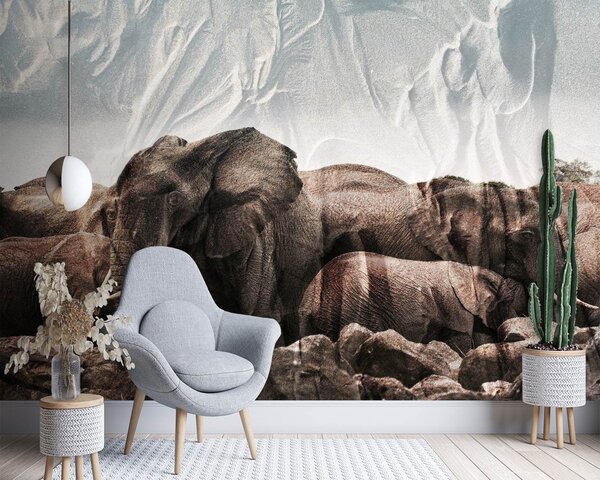 Gario Fotótapéta Elefántok egy csordában Anyag: Vlies, Méret: 200 x 140 cm