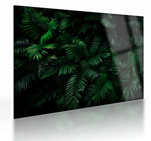 Kép - trópusi páfrány (üvegen) (70x50 cm)