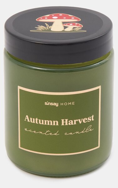 Sinsay - Gyertya Autumn Harvest - zöldessárga