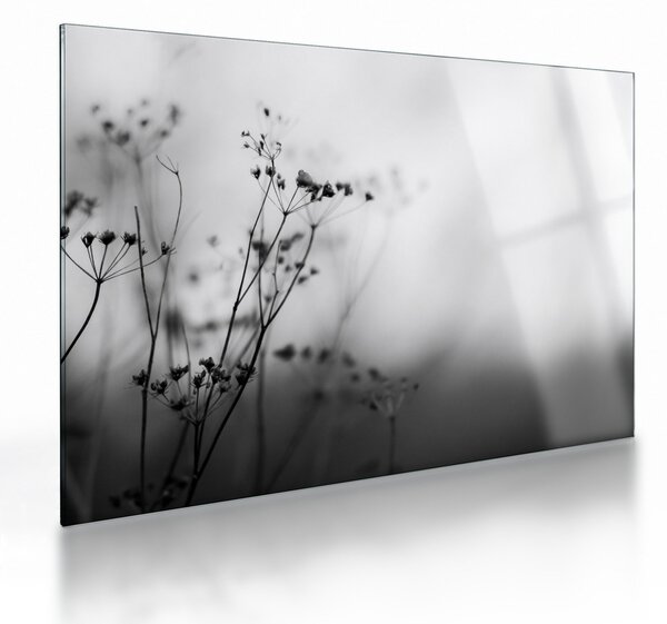 Kép - Réti virágok részlete (üvegen) (70x50 cm)