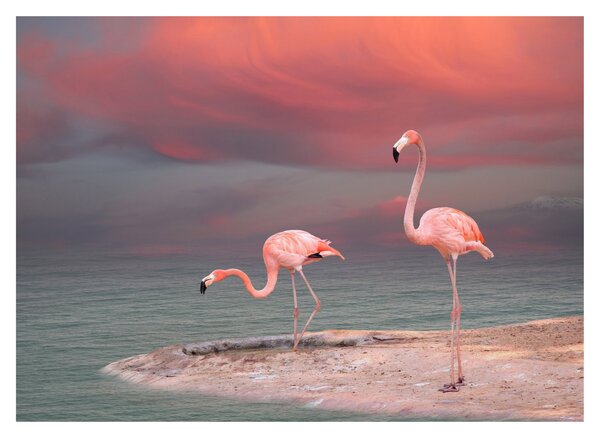 Flamingók képe (üvegen) (70x50 cm)