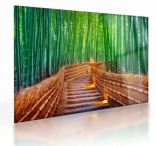 Kép - Japán bambusz erdő (üvegen) (70x50 cm)