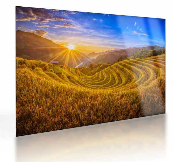 Kép - Rizs teraszok Vietnamban (üvegen) (70x50 cm)