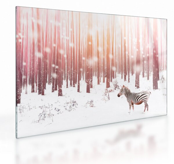 Kép - Zebra egy havas erdőben (üvegen) (70x50 cm)