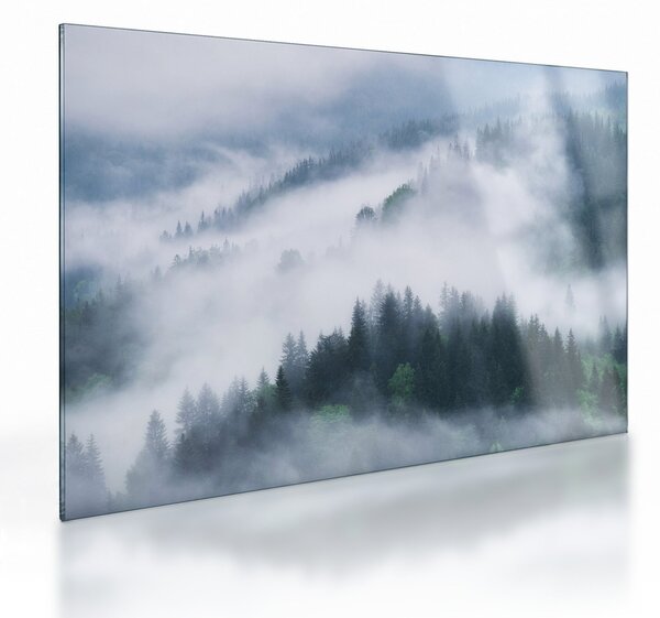 Kép - Fák a ködben (üvegen) (70x50 cm)