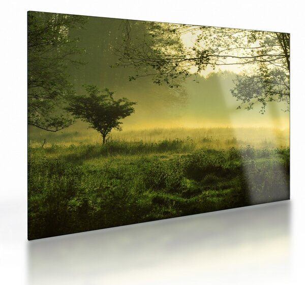 Kép - Ébredő erdő (üvegen) (70x50 cm)