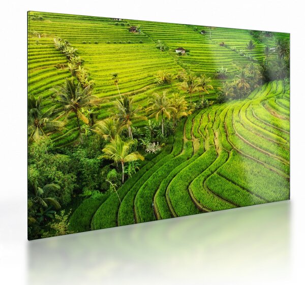 Kép - Rizs teraszok (üvegen) (70x50 cm)