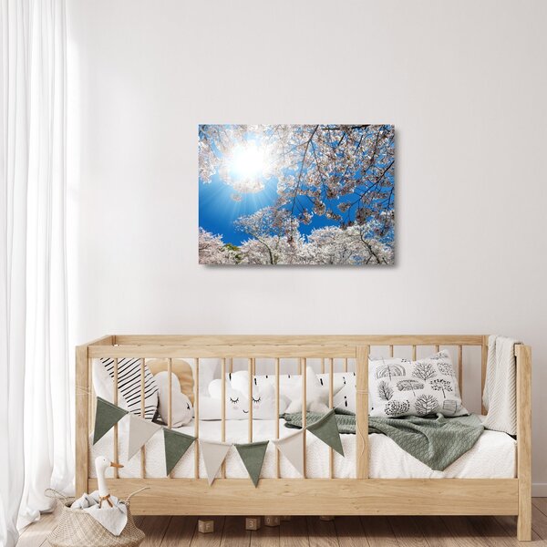 Kép - Cseresznyevirág (üvegen) (70x50 cm)
