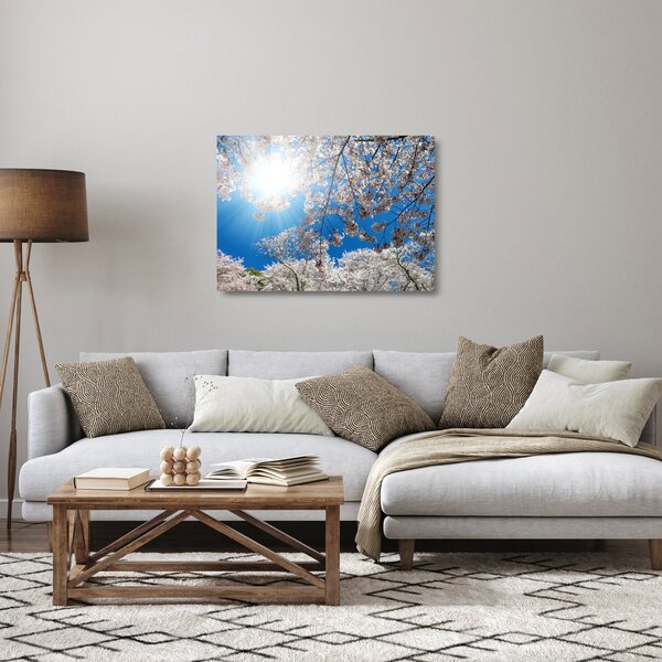 Kép - Cseresznyevirág (üvegen) (70x50 cm)