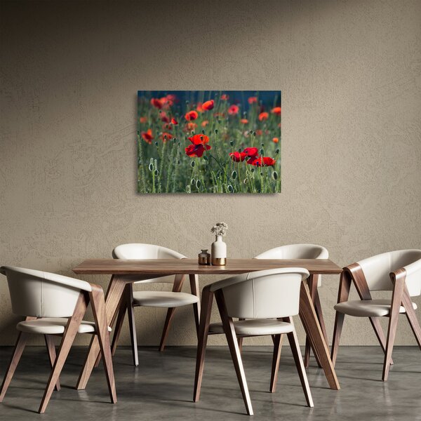 Kép - Rét mák virággal (üvegen) (70x50 cm)