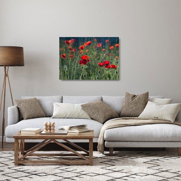 Kép - Rét mák virággal (üvegen) (70x50 cm)