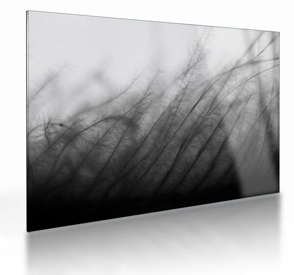 Kép - Fű a szélben (üvegen) (70x50 cm)