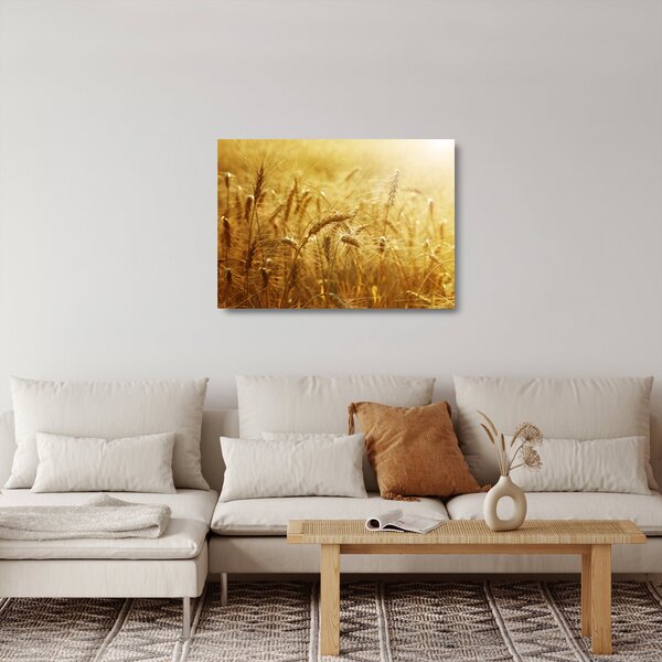 Kép - Gabonafül (üvegen) (70x50 cm)