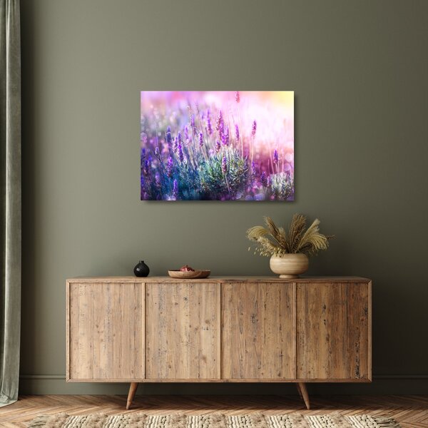 Kép - Levendula a csillogó napban (üvegen) (70x50 cm)