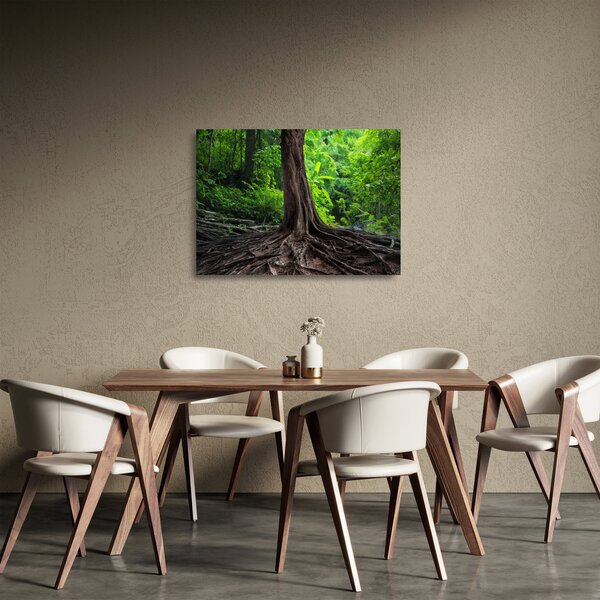 Kép - Öreg fa gyökere (üvegen) (70x50 cm)