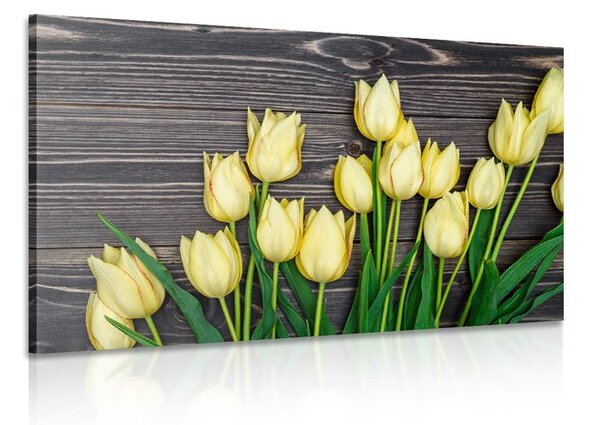 Kép sárga tulipánok fa háttéren