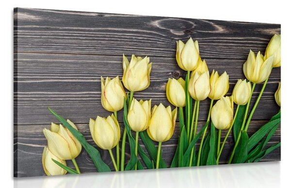 Kép sárga tulipánok fa háttéren