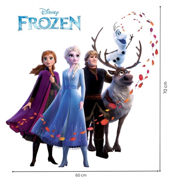 Falmatrica "Frozen 2" 60x70cm
