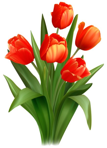 PIPPER. Matrica a kapcsoló felett "Piros tulipánok"