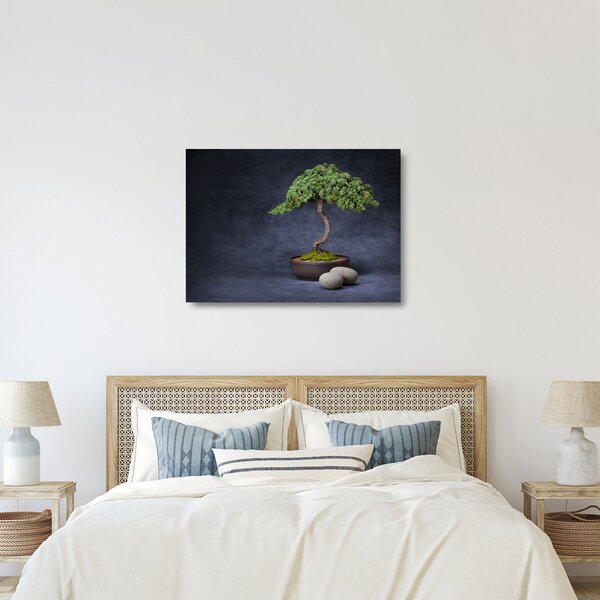 Kép - Bonsai (üvegen) (70x50 cm)