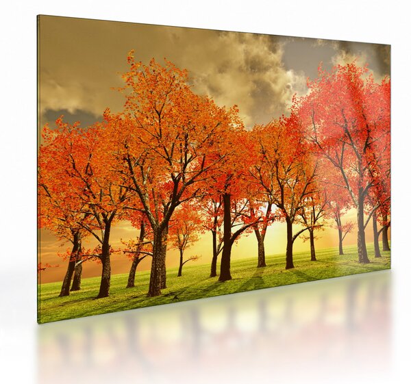 Kép - Ősz (üvegen) (70x50 cm)