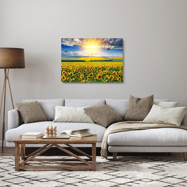 Kép - Napraforgó mező (üvegen) (70x50 cm)