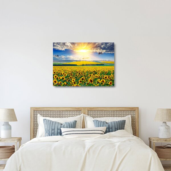 Kép - Napraforgó mező (üvegen) (70x50 cm)