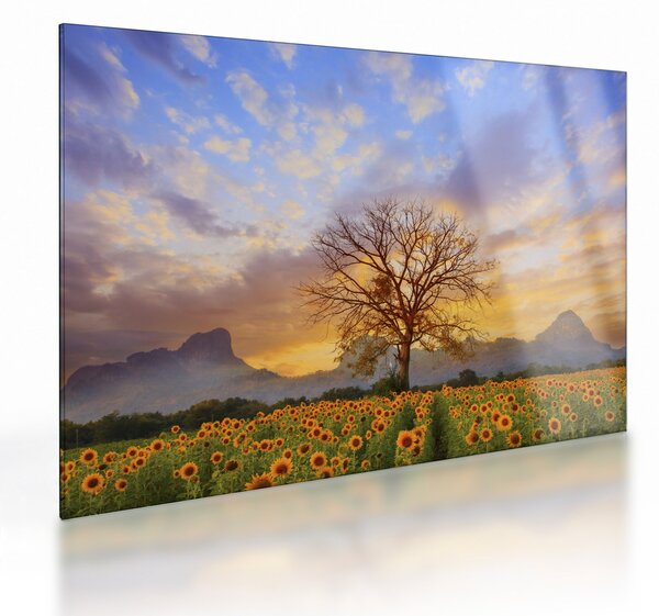 Kép - Táj napraforgóval (üvegen) (70x50 cm)
