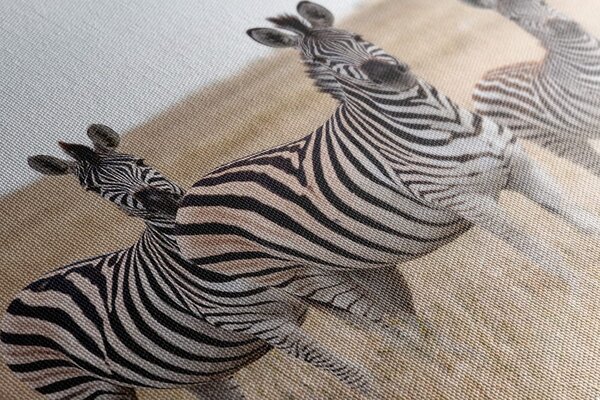 Kép három zebra szavannában