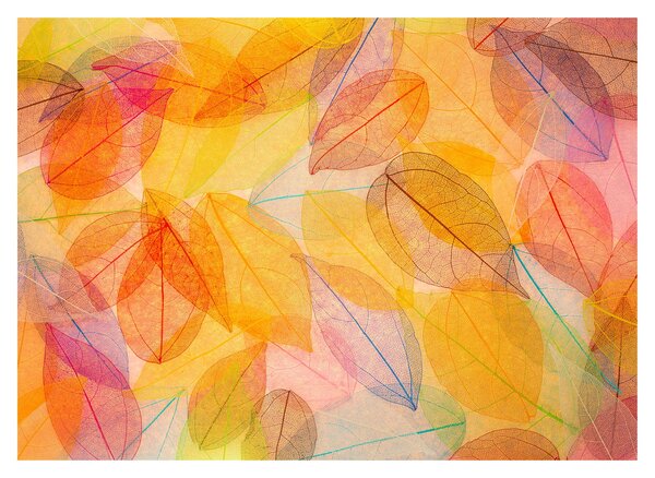 Kép - Háttér az őszi levelekből (üvegen) (70x50 cm)
