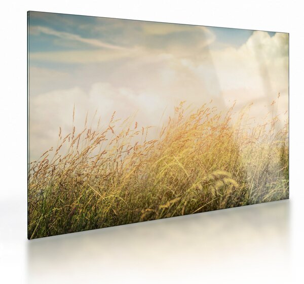 Kép - Mező ősszel (üvegen) (70x50 cm)