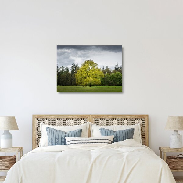 Egy zöld fa képe a mező közepén (üvegen) (70x50 cm)