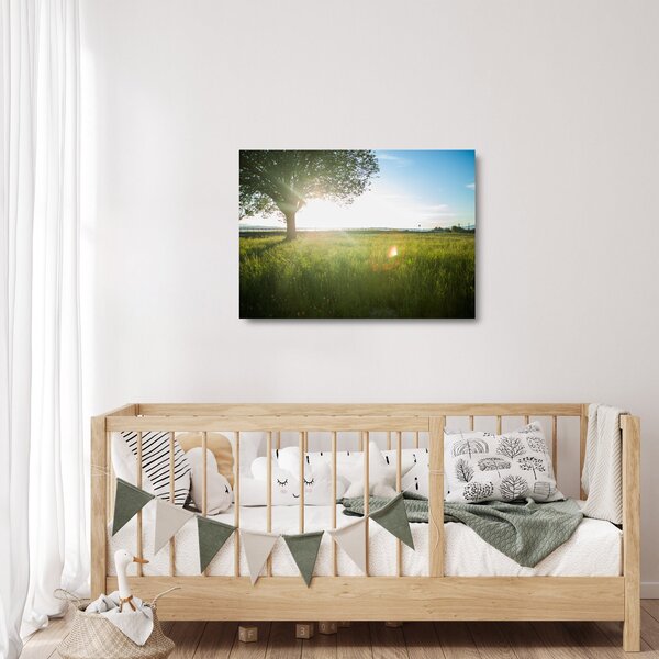 Egy fa képe a mezőn (üvegen) (70x50 cm)